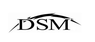 DSM logo