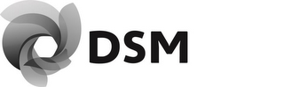 DSM logo
