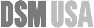 DSM USA logo