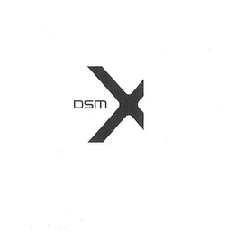 DSM X logo
