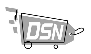 DSN logo
