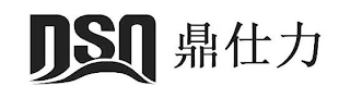DSN logo
