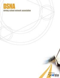 DSNA DRIVING SCHOOL NETWORK logo