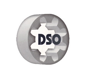 DSO logo