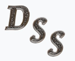 DSS logo