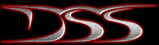 DSS logo