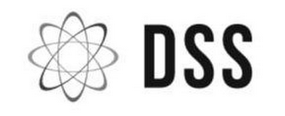 DSS logo