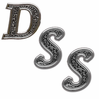 DSS logo