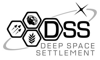 DSS DEEP SPACE SETTLEMENT logo