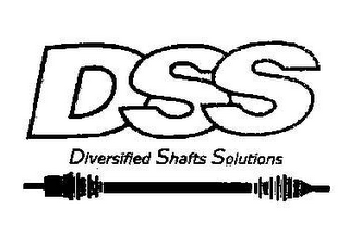 DSS DIVERSIFIED SHAFTS SOLUTIONS logo