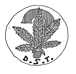 D.S.T. logo
