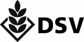 DSV logo