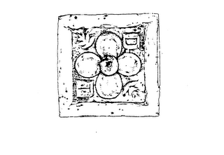 DT logo