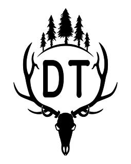 DT logo
