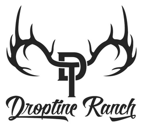DT DROPTINE RANCH logo