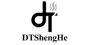 DT DTSHENGHE logo