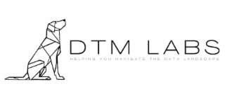 DTM LABS HELPING YOU NAVIGATE THE DATA LANDSCAPE logo