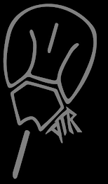 DTR logo