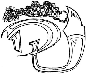 DU logo
