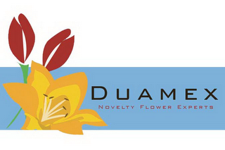 DUAMEX NOVELTY FLOWER EXPERTS logo