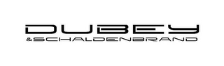 DUBEY & SCHALDENBRAND logo