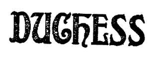 DUCHESS logo