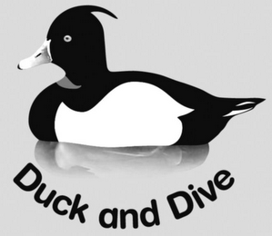 DUCK AND DIVE logo