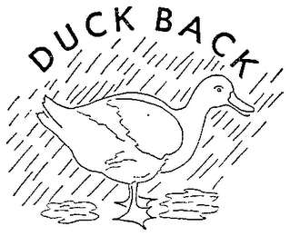 DUCK BACK