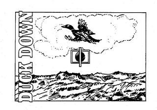 DUCK DOWN logo