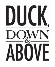 DUCK, DOWN & ABOVE logo
