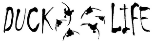 DUCK LIFE logo