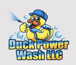 DUCK POWER WASH LLC logo