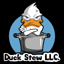 DUCK STEW LLC. logo