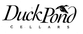 DUCKPOND CELLARS logo