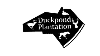 DUCKPOND PLANTATION logo