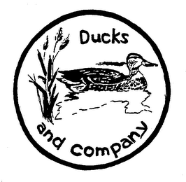 DUCKS AND COMPANY logo