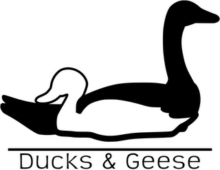 DUCKS & GEESE logo