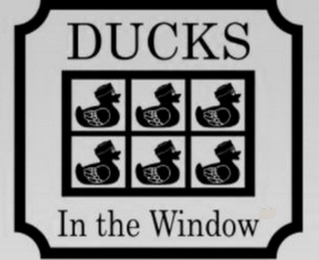 DUCKS IN THE WINDOW logo