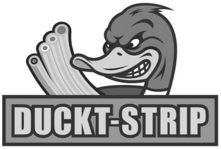 DUCKT-STRIP logo