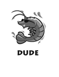 DUDE logo