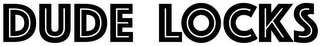 DUDE LOCKS logo
