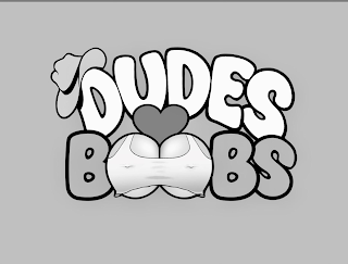 DUDES BOOBS logo