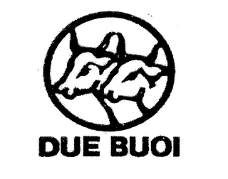 DUE BUOI logo
