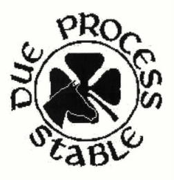 DUE PROCESS STABLE logo