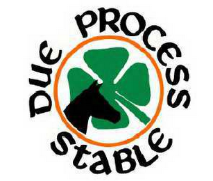 DUE PROCESS STABLE logo