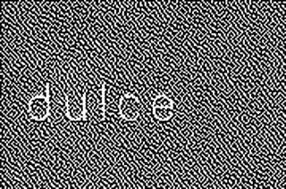 DULCE logo