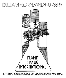 DULLAM FLORAL AND NURSERY PLANT TISSUE INTERNATIONAL INTERNATIONAL SOURCE OF COLONAL PLANT MATERIAL logo