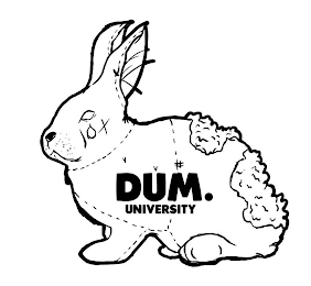 DUM. UNIVERSITY logo