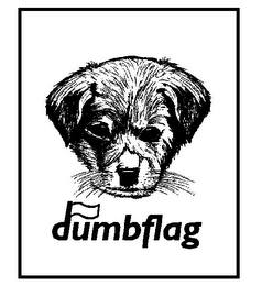 DUMBFLAG logo