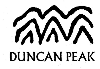 DUNCAN PEAK logo